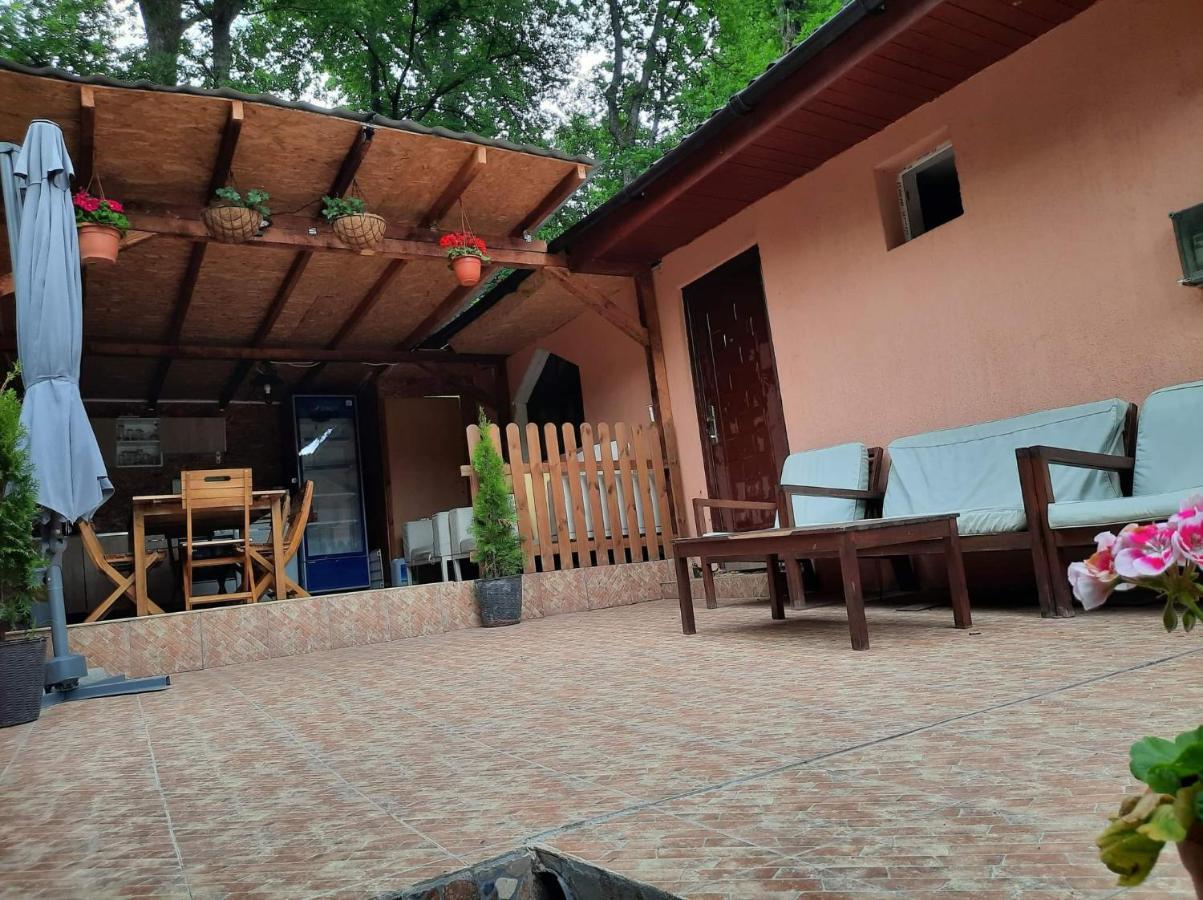 Casa De Vacanta Emd Eselnita Exterior foto