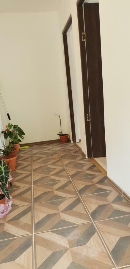 Casa De Vacanta Emd Eselnita Exterior foto